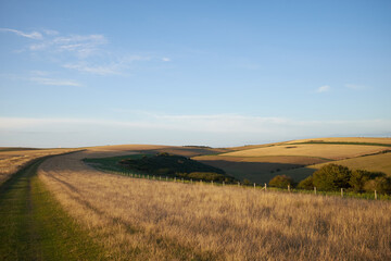 Fototapeta premium Public footpath through open countryside on South Downs way, East Sussex