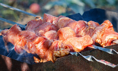 Fresh marinated pieces of pork meat cooked for grilling and strung on skewers for baking on a grill with wood coal in smoke in the open space.The concept of natural food.