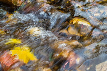 Water runs over colored stones. Yellow autumn leaves of trees are visible under the water. Texture of a river running over rocks.