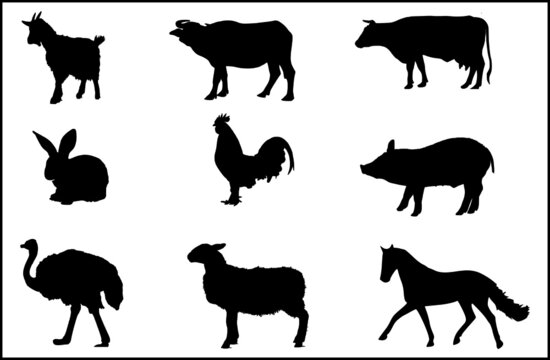 Black silhouette images of farm animals. Icons of domestic animals. Silhouette image of animals that are kept for meat and milk.