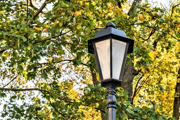 Black vintage lantern on a background of autumn foliage.