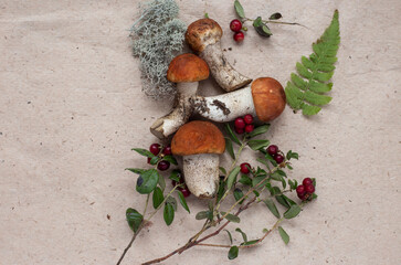 mushrooms, berries and moss top view
