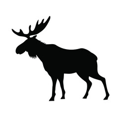 Animal moose silhouette, drawing, vector illustration