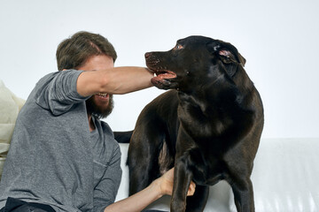 Happy man and dog on the couch In a bright room pet is a friend of man