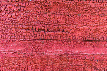 Closeup macro of old dried cracked red paint on outdoor wooden wall structure.