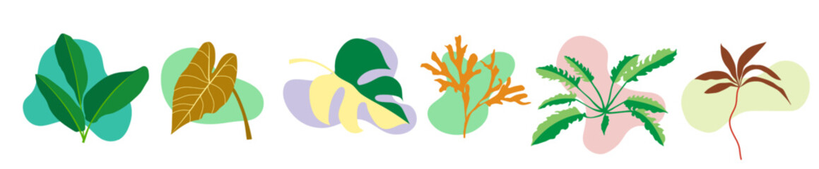 Set of tropical branches and leaves plants on free shape element isolated on background. Vector illustration