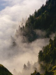 Dramatic View of Fog over the Forest, Rize, Turkey