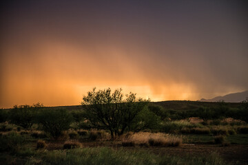 Monsoon Sunset in Southern Arizona