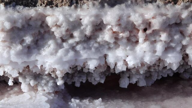 Kuyalnik estuary, Black Sea. Salt crystals cover stones on the shore of a salt lake
