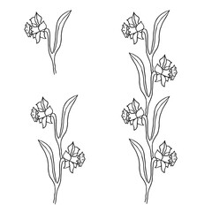 Beautiful flowers on a white isolated background. Design suitable for fabric, wallpaper, wrapping paper, posters.