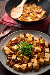 mapo tofu. traditional spicy chinese food