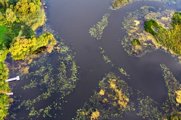 Luftaufnahme des Flusses mit grünen Algen auf der Wasseroberfläche und einem Pier am Ufer, Sommerlandschaft © mikeosphoto