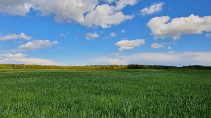 Fototapeta premium Malowniczy krajobraz polskiej wsi. / Picturesque landscape of Polish countryside.