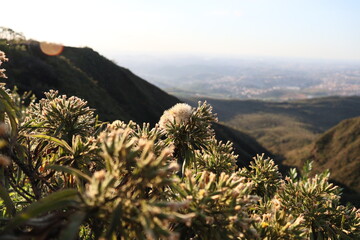 Peace at mountains