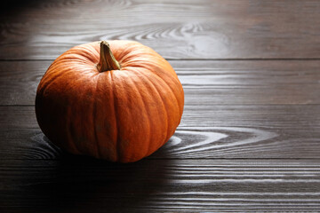 Autumn fresh pumpkin on dark background