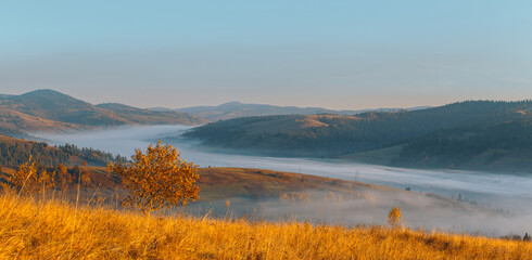 Beautiful panorama of autumn mountains, trees on a mountain hills. Morning fog in valley between mountain slopes.