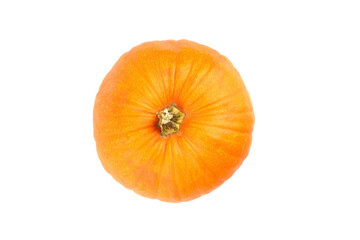 Pumpkin isolated on white background