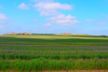 field and blue sky