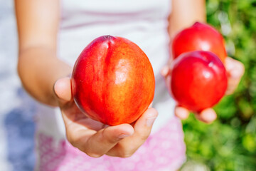 girl holding a ripe red peach in her hand