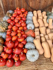 Colourful pumpkins on a market