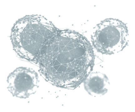 Biotechnology And Concept Of Cellular Organ, Living Systems And Organisms Development And Improvement.