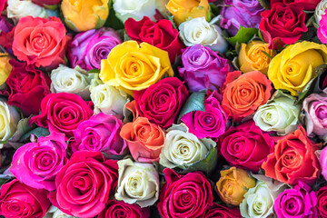 a colorful bouquet of roses in close-up