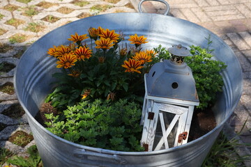 Wanne, Blüten, Garten, Blumen