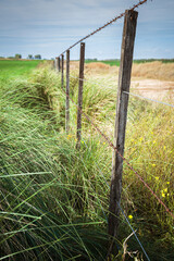 Fototapeta premium Alambre de puas dividiendo las propiedades en el campo argentino