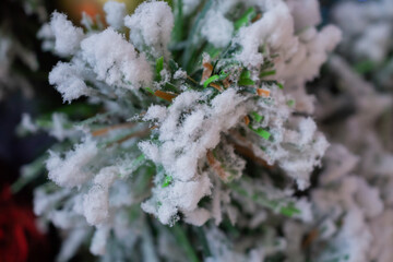 Closeup Christmas tree with snow background