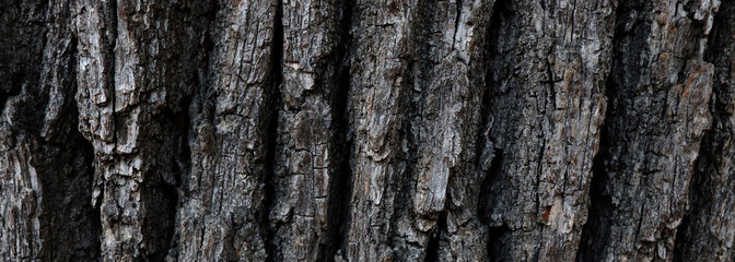 Abstract dark bark texture background for banner concept