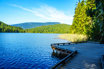 Obraz premium Boardwalk on loop trail around lake in BC forest park on a bright and sunny day - summer-fall transition