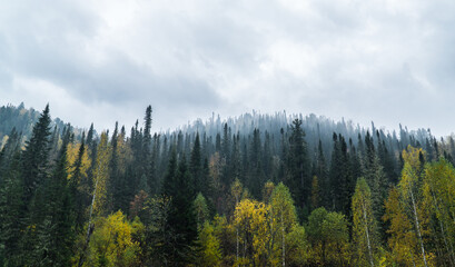 nature trips at different times of the year