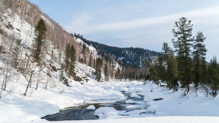 nature trips at different times of the year