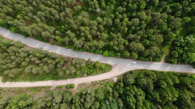 crossroads of two roads in the forest lonely car. Summer. Aerial view top down.
