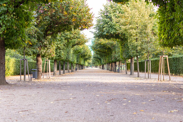 Fototapeta premium Avenue in Augarten Park in Vienna (Austria) on a nice sunny autumn day