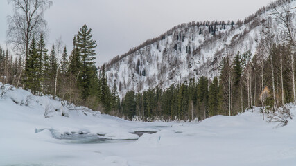 nature trips at different times of the year