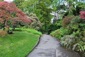 path in the garden