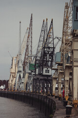Cranes in the city of Antwerp