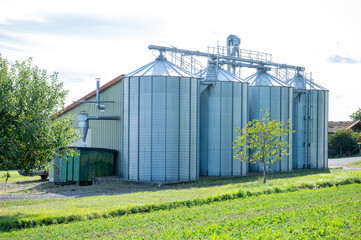 Fototapeta na wymiar three silos of a farm, regional food is produced