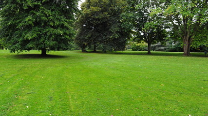 grass lawn and trees in a garden
