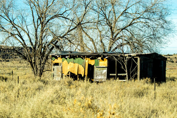 An abandoned and delapidated  house, shack,  along historic Route 66 west of Sanders, New Mexico