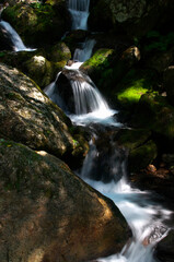 Fototapeta premium 渓流