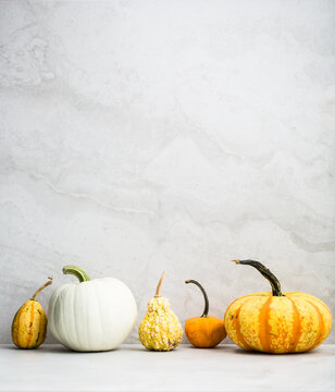 Artisanal pumpkins and gourds on a neutral background
