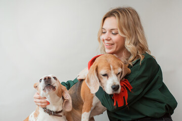 European woman with two beagle indoor. Best friends consept. 
