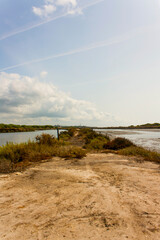 Fototapeta na wymiar Paraje natural Marismas del Río Piedras y Flecha del Rompido, ciudad de Huelva