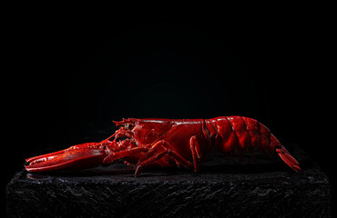 Cooked lobster on slate stone in black background
