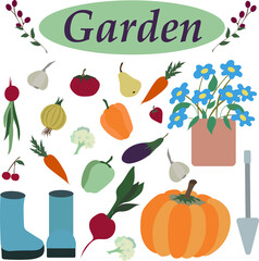 set of garden tools vegetables berries vector