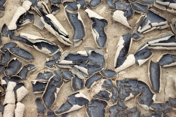 cracked dry grey clay