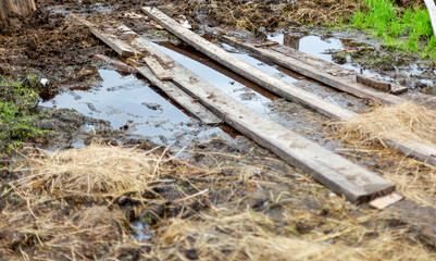 mud