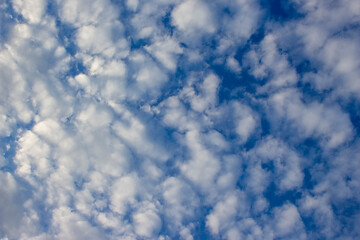 blue sky with white fluffy clouds